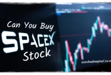 Can You Buy SpaceX Stock