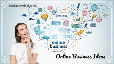 Online Business Ideas