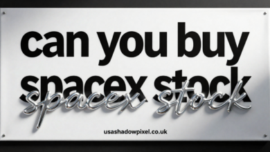 can you buy spacex stock