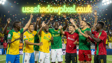 brazil vs morocco