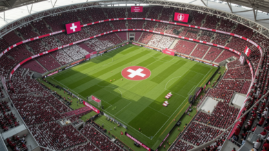 qatar vs switzerland