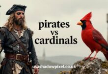 pirates vs cardinals
