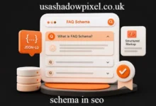 schema in seo