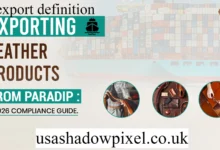 export definition