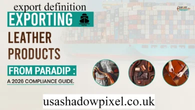 export definition