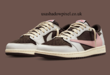 Brown Travis Scott Shoes