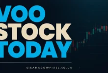 VOO Stock Today