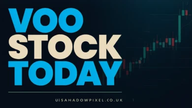 VOO Stock Today