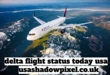 delta flight status today usa