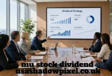 mu stock dividend